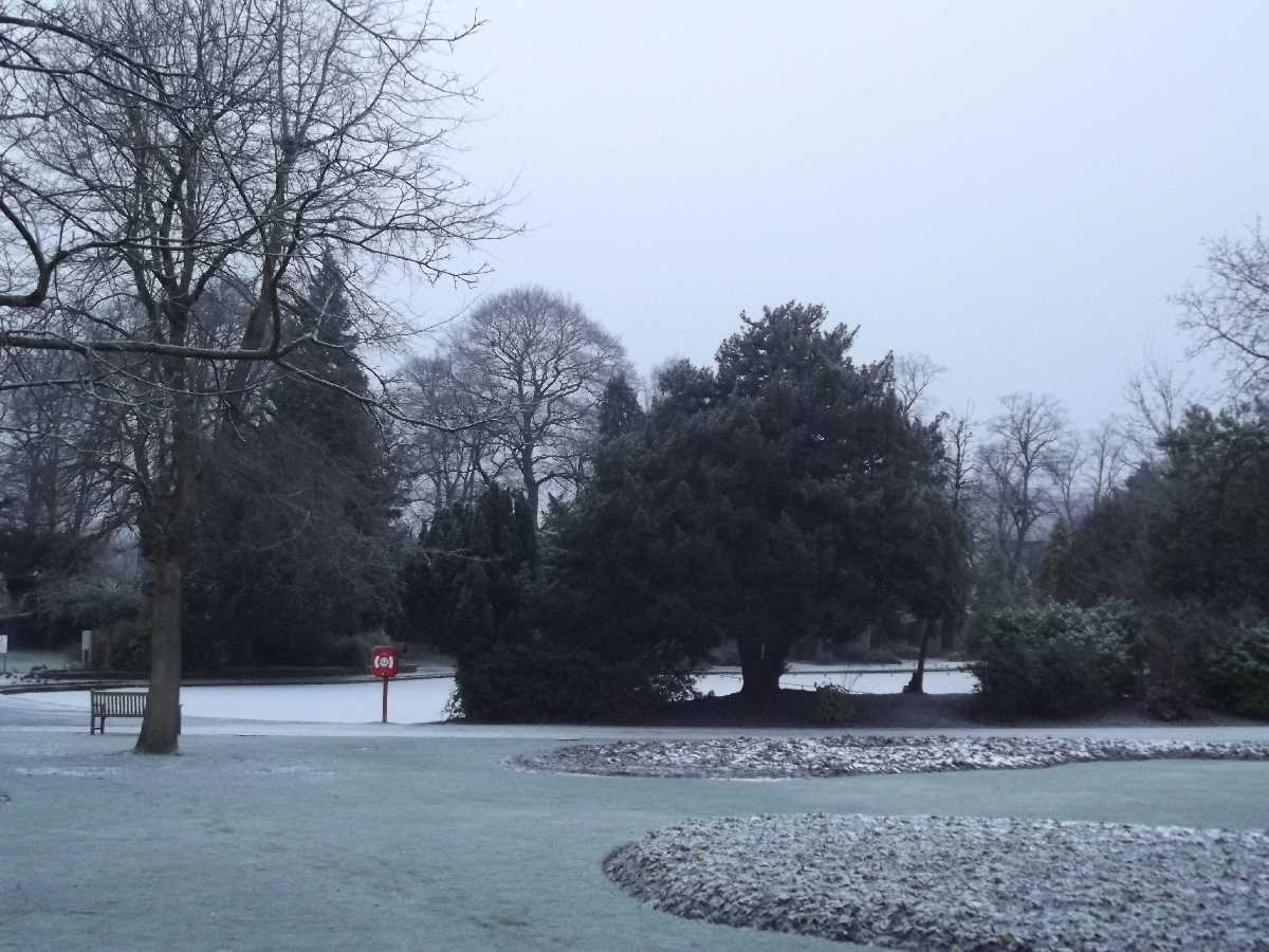 Cannon Hill Park - snow (January 2013)